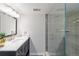 Sleek bathroom featuring a dark vanity with a marble countertop and a glass-enclosed shower with modern tiling at 10565 Kalahari Ct, Lone Tree, CO 80124