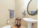 Stylish half bathroom with pedestal sink and decorative mirror at 10565 Kalahari Ct, Lone Tree, CO 80124