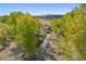 The creek flowing through the property is surrounded by lush foliage and landscape at 4880 Tall Horse Trl, Sedalia, CO 80135