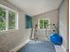 Bright and airy exercise room featuring natural light, blue accents, and a workout barre at 109 Bear Creek Ln, Morrison, CO 80465
