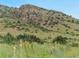 Natural landscape view showing native plants and grasses growing up a grassy hillside at 109 Bear Creek Ln, Morrison, CO 80465