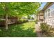 Well-manicured backyard featuring lush green grass and mature landscaping at 190 Olympia Ave, Longmont, CO 80504