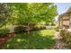 Backyard featuring a lush lawn, mature tree, landscaping, and a white fence at 190 Olympia Ave, Longmont, CO 80504