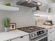 Close-up of stainless steel gas range, modern hood, and custom shelving showcasing modern kitchen design details at 4432 Umatilla St, Denver, CO 80211