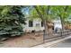 Landscaped front yard featuring decorative plants, trees, and rock ground cover at 6314 W 92Nd Pl, Westminster, CO 80031