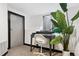 Bright office space with a modern desk, chair, large plant, and natural light from the basement window at 4463 Steele St, Denver, CO 80216