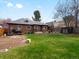 Expansive backyard with lush green grass, mature trees and plenty of space for outdoor activities at 2535 Leyden St, Denver, CO 80207