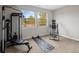 Brightly lit exercise room with two windows and an array of professional work out equipment at 9591 Sunset Hill Dr, Lone Tree, CO 80124