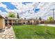 Expansive backyard showcasing a well-maintained lawn and a charming garden archway, ideal for outdoor enjoyment at 7777 Newman St, Arvada, CO 80005