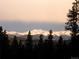 View of snow capped mountains from the property as seen through tall pine trees at 800 Highway 72, Golden, CO 80403