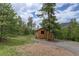 Backyard featuring a wooden shed surrounded by mature pine trees at 31150 Manitoba Dr, Evergreen, CO 80439