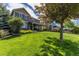 Large, grassy backyard with mature trees providing shade and privacy, great for relaxation at 4247 Thistlesage Ct, Castle Rock, CO 80109