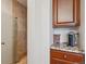Bathroom with granite countertop, tiled shower, and a convenient coffee bar at 10293 Rustic Redwood Ct, Highlands Ranch, CO 80126