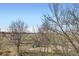 Backyard view showcases mature trees and playground, providing a glimpse of outdoor fun and relaxation at 16021 Verbena St, Brighton, CO 80602