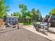 Outdoor space with a patio area, stone pathway, and lush greenery at 6684 S Buffalo Dr, Littleton, CO 80120