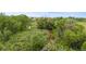 Picturesque aerial view of lush greenery and a winding stream at 6185 Saddle Bow Ave, Parker, CO 80134