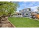 Expansive backyard featuring a covered patio, green lawn, and mature tree, perfect for outdoor enjoyment at 4235 Lark Sparrow St, Highlands Ranch, CO 80126