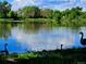 Picturesque pond with lush greenery and several Geese at 6333 Zang Ct # E, Arvada, CO 80004