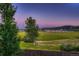 Scenic view from property featuring expansive green field and mountain backdrop at 12534 W Hoover Ave, Littleton, CO 80127