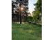 Scenic pasture with tall grass and sunset view at 10120 Apache Spring Dr, Conifer, CO 80433