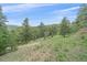 Picturesque hillside with a dense forest and a clear blue sky at 787 W Meadow Rd, Evergreen, CO 80439