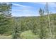 A treed mountain view at 787 W Meadow Rd, Evergreen, CO 80439