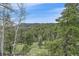 Scenic mountain view with lush green trees on a sunny day at 787 W Meadow Rd, Evergreen, CO 80439
