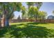 Large, grassy backyard featuring mature trees and a wooden fence for privacy and enjoyment at 1560 Simms St, Lakewood, CO 80215