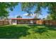 Spacious backyard featuring a manicured lawn, mature trees, and a covered patio area for relaxing and entertaining at 1560 Simms St, Lakewood, CO 80215