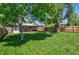 Large backyard with a vibrant green lawn, mature trees, and a covered patio, ideal for outdoor activities and gatherings at 1560 Simms St, Lakewood, CO 80215