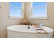 Close up of a luxury bathtub with scenic window views at 1995 Wingfeather Ln, Castle Rock, CO 80108