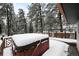 Exterior deck featuring a hot tub covered in snow, surrounded by tall, snow-covered evergreen trees at 11710 Spruce Canyon Cir, Golden, CO 80403