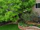 Manicured backyard with lush lawn, mature trees, a stone retaining wall and beautiful landscaping at 2819 Canyon Crest Dr, Highlands Ranch, CO 80126
