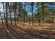 Wooded lot with tall pine trees at 1580 Crystal Way, Franktown, CO 80116