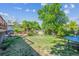 Spacious backyard with grass, mature trees, and a wooden deck at 848 S 13Th Ave, Brighton, CO 80601