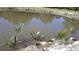 Scenic shot of the on-property pond and its shoreline with vegetation at 3619 Estates Cir, Larkspur, CO 80118