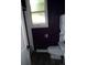 Bathroom with dark walls, textured window, and a standard toilet at 1346 S Logan St, Denver, CO 80210