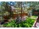 Lush backyard with a well-maintained lawn, mature trees, and a wooden fence, providing privacy and a natural setting at 5416 S Hannibal Ct, Centennial, CO 80015