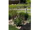 Lush garden featuring vibrant purple flowers and verdant foliage, a beautiful addition to the landscape at 10526 Fairhurst Way, Highlands Ranch, CO 80126