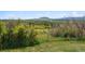 Expansive lot featuring lush greenery and mountain views at 2938 Wolfensberger Rd, Sedalia, CO 80135
