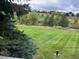 Green lawn with deer and distant homes visible at 8855 Green Meadows Dr, Highlands Ranch, CO 80126