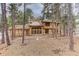 Exterior view of a tan home surrounded by pine trees, featuring a brick patio and large windows in the back at 70 Long Bow Cir, Monument, CO 80132