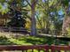 Scenic backyard view from the deck, with a beautiful fence, lush trees and manicured lawn at 6833 S Miller St, Littleton, CO 80127