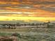 Sunset view of a vibrant, well-maintained community with mountains in the distance at 6805 Zebra Grass Ln, Parker, CO 80138
