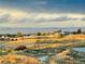 Picturesque view overlooking grassy fields and community with dramatic cloudy skies above at 6805 Zebra Grass Ln, Parker, CO 80138