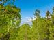 Scenic view of mountain peaks framed by lush green trees against a clear blue sky with scattered clouds at 2654 Sinton Rd, Evergreen, CO 80439