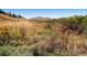 The community features a lush, grassy field with a hill in the background at 16259 W 10Th Ave # K1, Golden, CO 80401