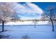 Tranquil winter view of a snow-covered field and trees at 8182 S Winnipeg Ct, Aurora, CO 80016