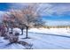 Serene winter landscape with snow-covered grounds and trees at 8182 S Winnipeg Ct, Aurora, CO 80016