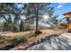 Front yard, mature trees, concrete driveway and hillside at 8258 W 66Th Dr, Arvada, CO 80004